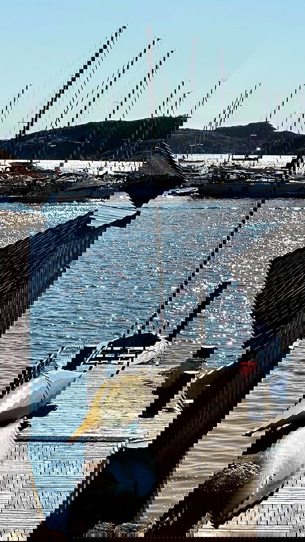 taylor.creeden taylor.creeden archive image