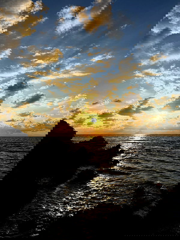 strawberryshanz strawberryshanz archive image