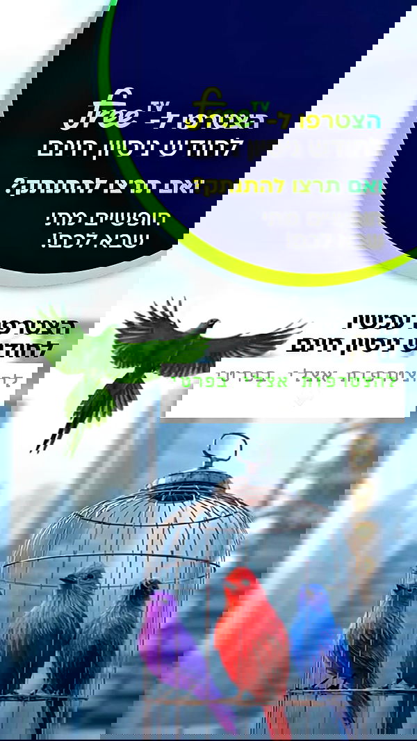 _._dianush._ _._dianush._ archive image