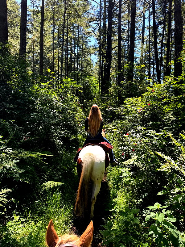 carolinezalog instagram image archive image