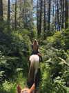 carolinezalog Altpins Profile Picture