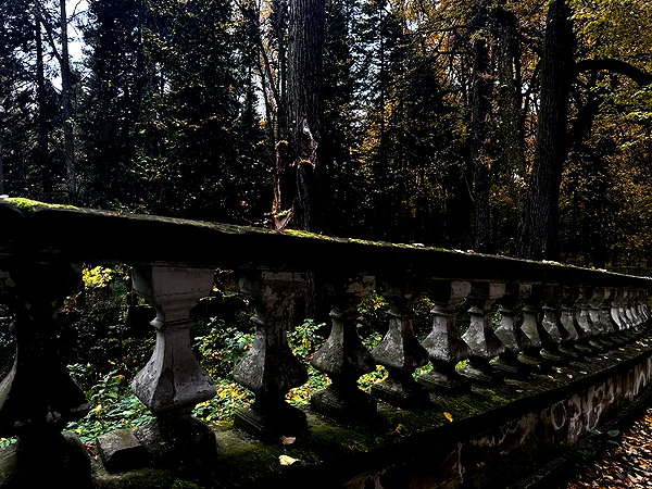 forestowwwl instagram image archive image