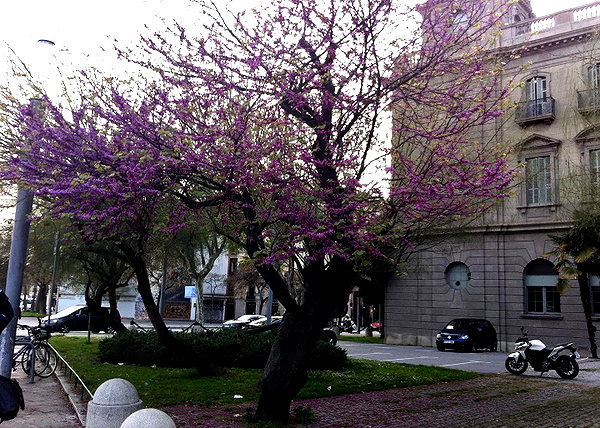 lolontlia instagram image archive image