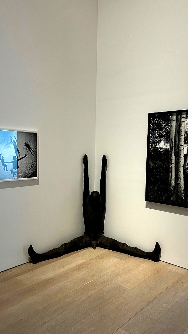 levsave instagram image archive image