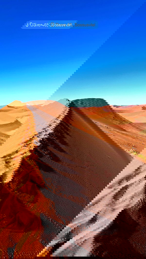 taylor.creeden taylor.creeden archive image