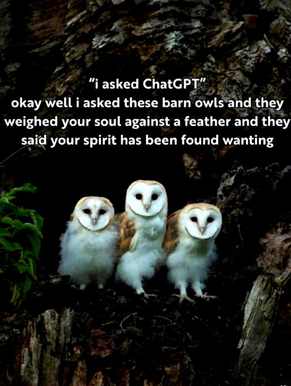 ellaexplicit_ instagram image archive image