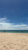 shirakor_ Altpins Profile Picture