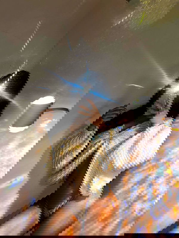 danbbyyy danbbyyy archive image