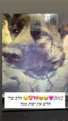 emily_new2 Altpins Profile Picture