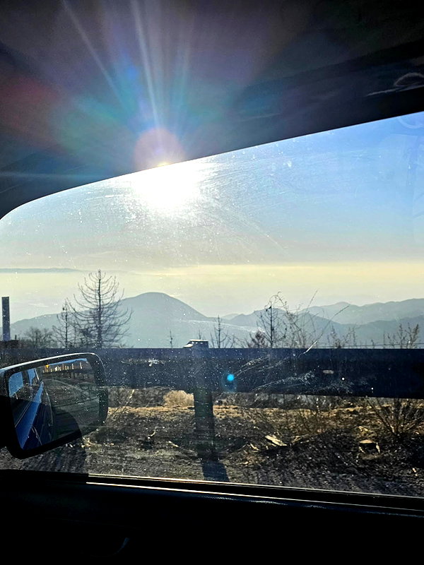muze instagram image archive image