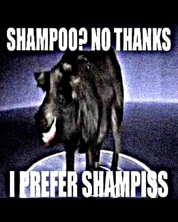 smok3ymok3y instagram image archive image