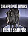 smok3ymok3y Altpins Profile Picture
