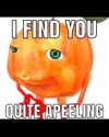 leanbeefpatty Altpins Profile Picture