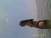 aviyabrami_ Altpins Profile Picture