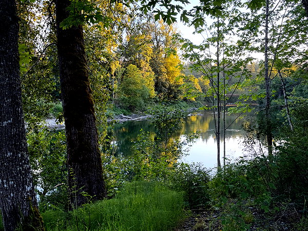 cialikechia instagram image archive image