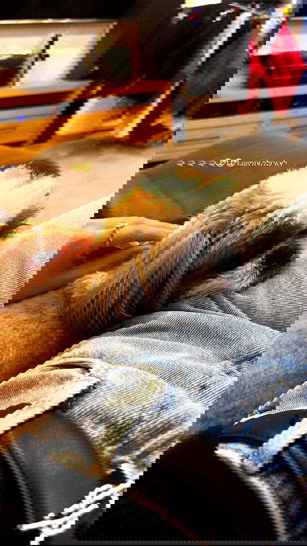 noammalka___ noammalka___ archive image