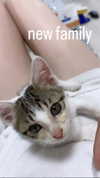 yuna_1_27 Altpins Profile Picture