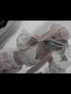 glowmoonshorty Altpins Profile Picture
