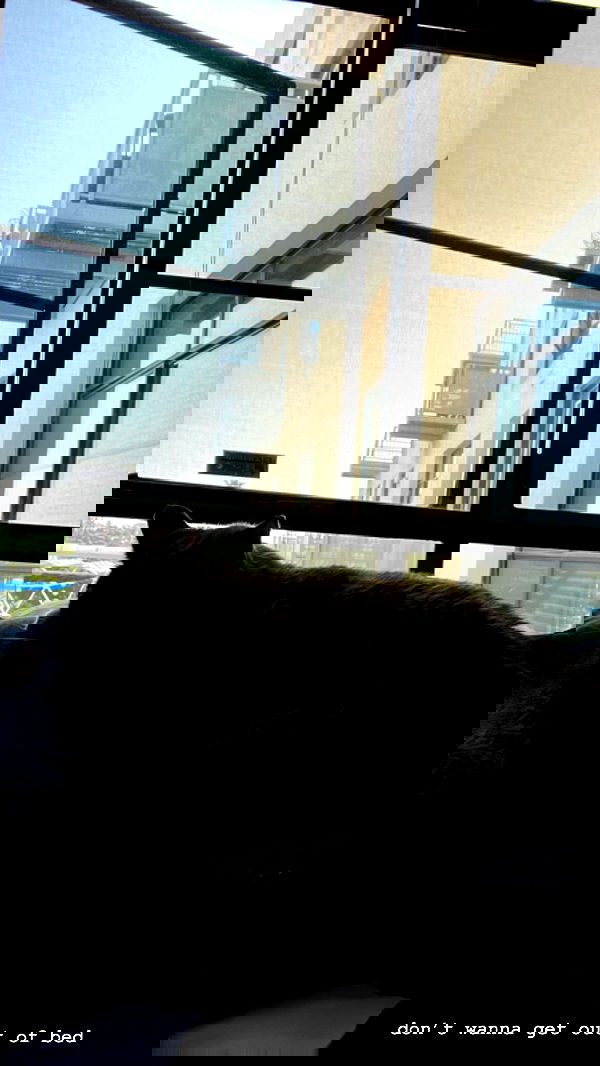 suikomuu suikomuu archive image