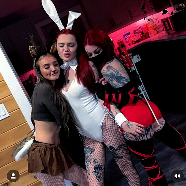 taxevasionkoala instagram image archive image