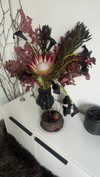 vvelum_ Altpins Profile Picture