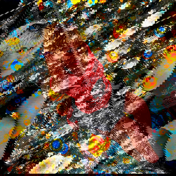 ormosheee ormosheee archive image