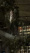 vvelum_ Altpins Profile Picture