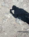 indra0102_ Altpins Profile Picture