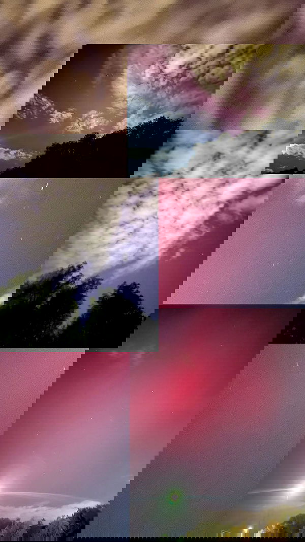 thelizzyporter thelizzyporter archive image