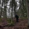 vvelum_ Altpins Profile Picture