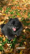 nina.kxs Altpins Profile Picture