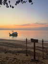 michal_cohen017 Altpins Profile Picture