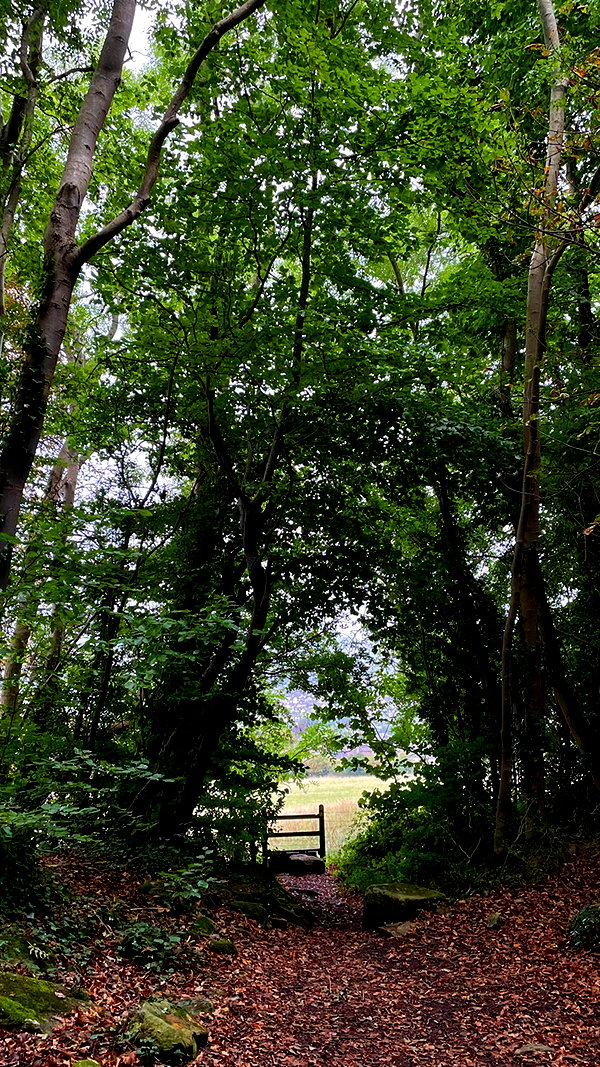 mollieruck instagram image archive image