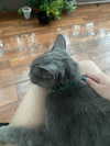 sulisssx Altpins Profile Picture