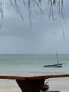 pol_cherie Altpins Profile Picture