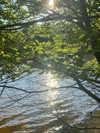 elizabethcampbelljones Altpins Profile Picture