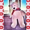 alishevs Altpins Profile Picture