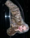 alien.hanna Altpins Profile Picture