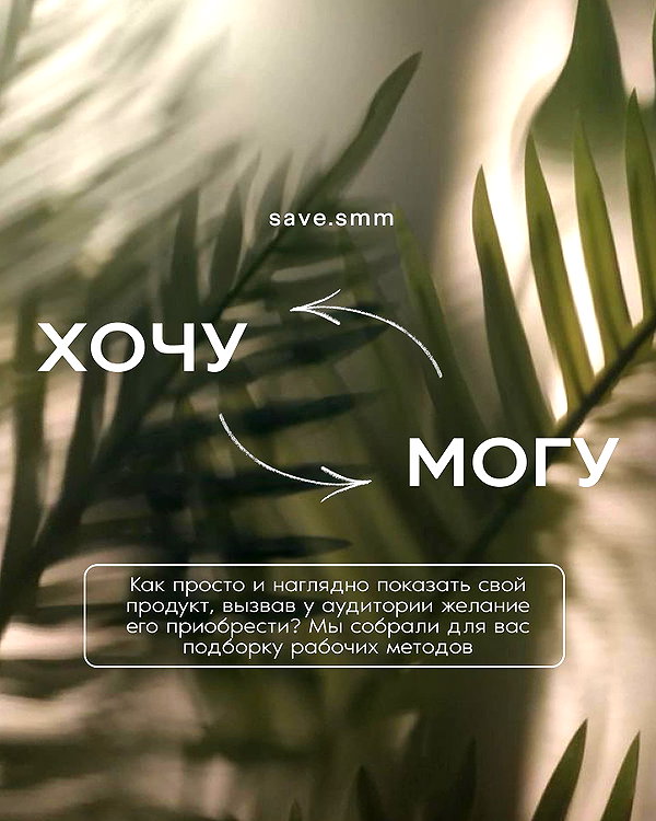levsave instagram image archive image