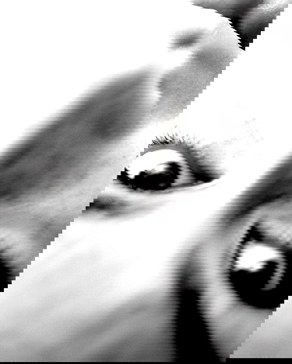 taylor.creeden taylor.creeden archive image