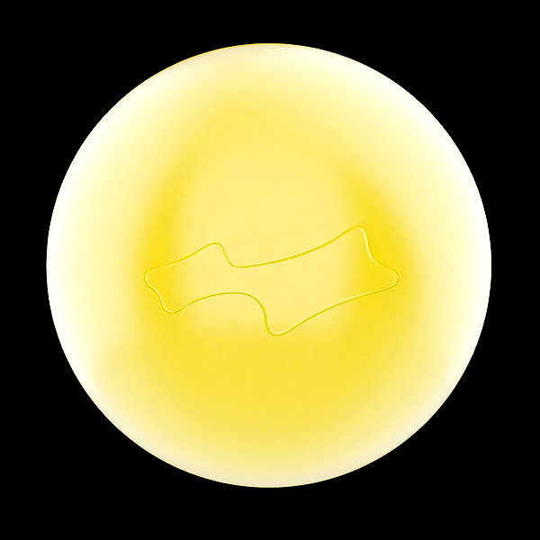 lilbieber instagram image archive image