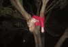 cyber.st4rz Altpins Profile Picture