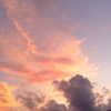 elizabethcampbelljones Altpins Profile Picture