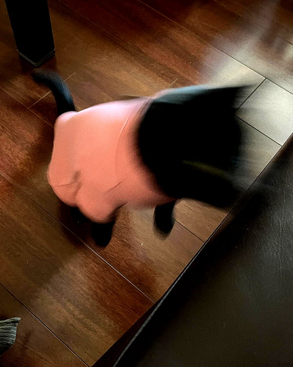 bad.toy instagram image archive image