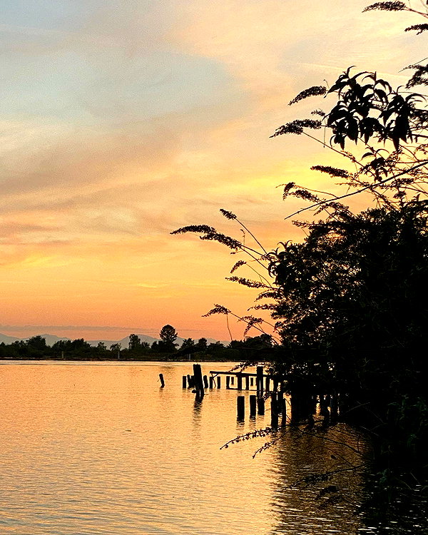 taratornquist instagram image archive image