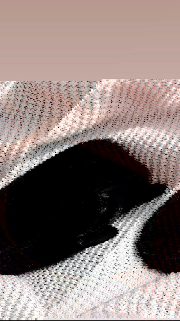 suikomuu suikomuu archive image