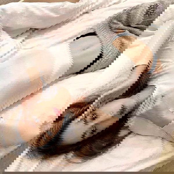 pinx_ir pinx_ir archive image