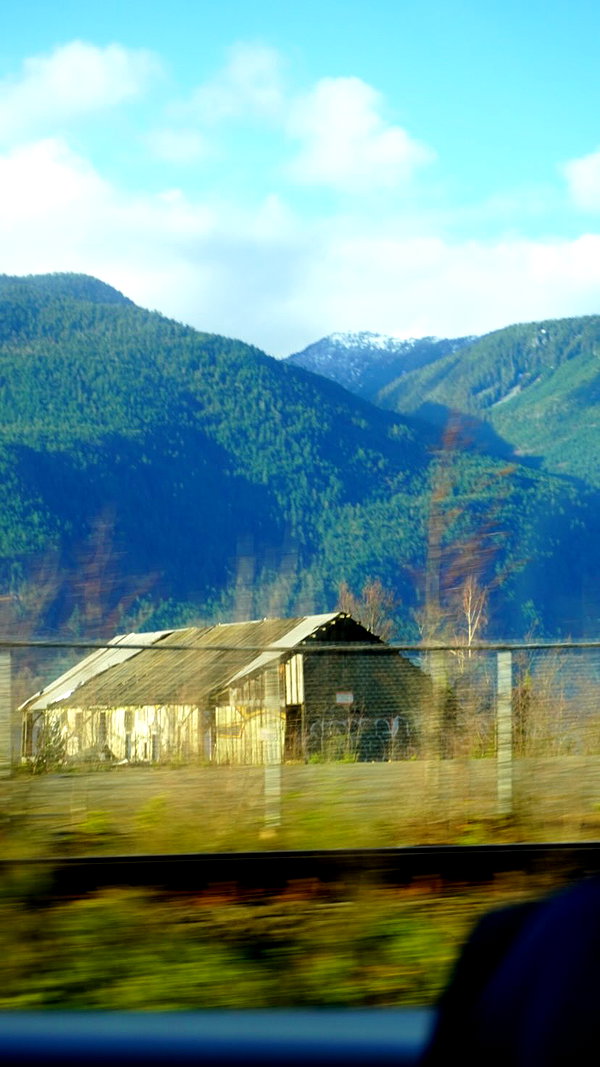 maruliners archive image