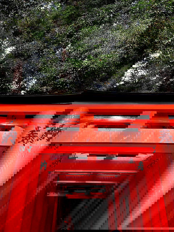 taylor.creeden taylor.creeden archive image