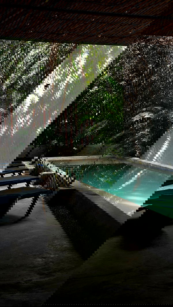 manjolamuriqi manjolamuriqi archive image